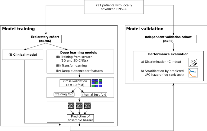 2d And 3d Convolutional Neural Networks For Outcome Modelling Of Locally Advanced Head And Neck Squamous Cell Carcinoma Scientific Reports