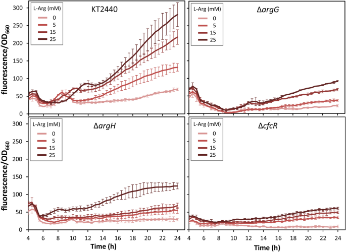 Arginine As An Environmental And Metabolic Cue For Cyclic Diguanylate Signalling And Biofilm Formation In Pseudomonas Putida Scientific Reports