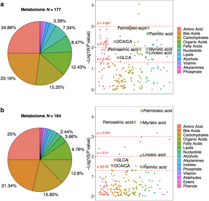 Peripheral Serum Metabolomic Profiles Inform Central Cognitive Impairment Scientific Reports