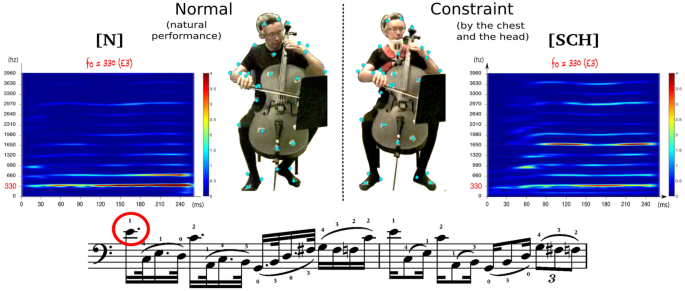 Cellists' sound quality is shaped by their primary postural behavior |  Scientific Reports