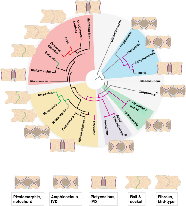 Quiz becomes Therian Doors. (Free download!)