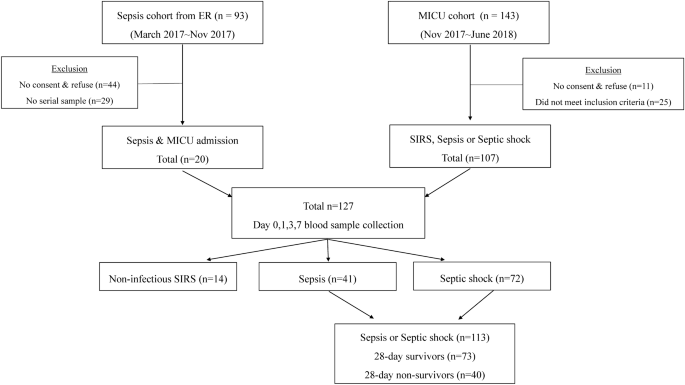 Diagnosis and mortality prediction of sepsis via lysophosphatidylcholine 16:0 measured by MALDI-TOF MS - Scientific Reports