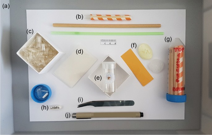 High Throughput Microct Scanning Of Small Specimens Preparation Packing Parameters And Post Processing Scientific Reports High Throughput Microct Scanning Of Small Specimens Preparation Packing Parameters And Post Processing Scientific Reports