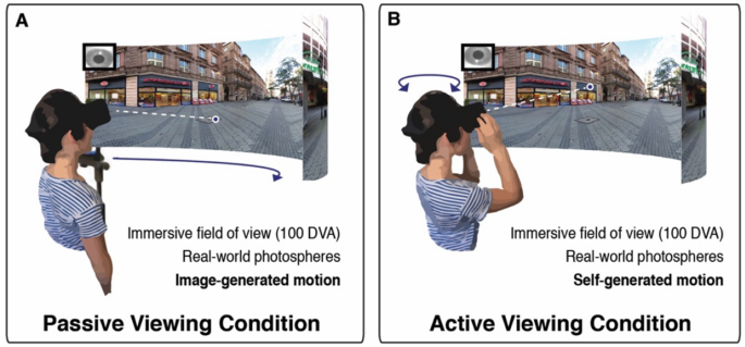 vision in immersive, real-world Scientific Reports