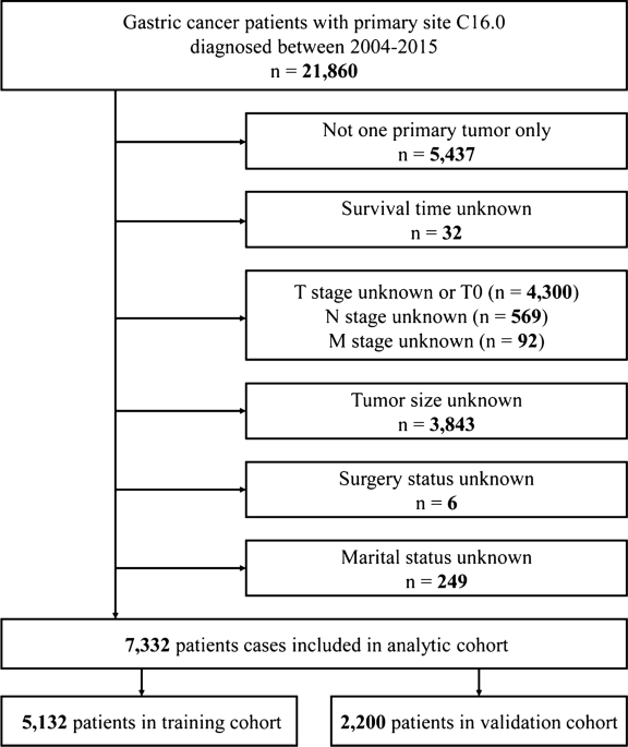 Development and validation of a nomogram to predict the prognosis of patients with gastric cardia cancer