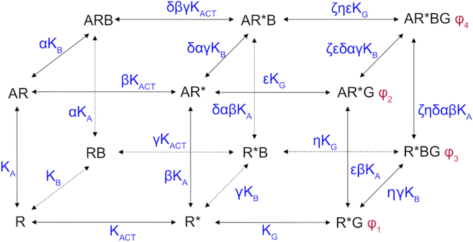 The Operational Model Of Allosteric Modulation Of Pharmacological Agonism Scientific Reports