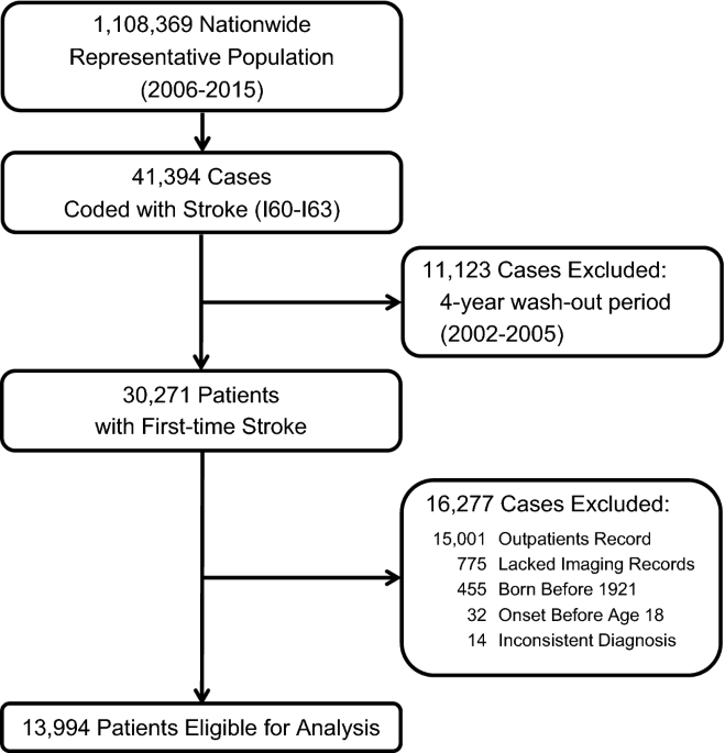 Lifetime risks and health impacts of hemorrhagic and ischemic stroke in South Korea | Scientific Reports Lifetime risks and health impacts of hemorrhagic and ischemic stroke in South Korea | Scientific Reports