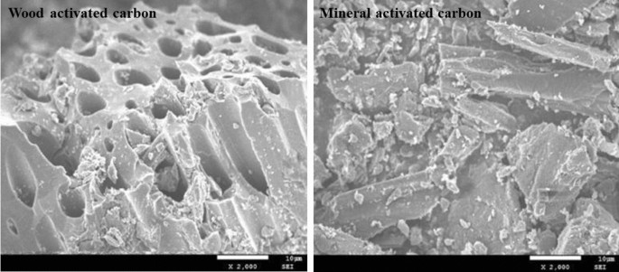 Effects of two types of activated carbon on the properties of vegetation  concrete and Cynodon dactylon growth