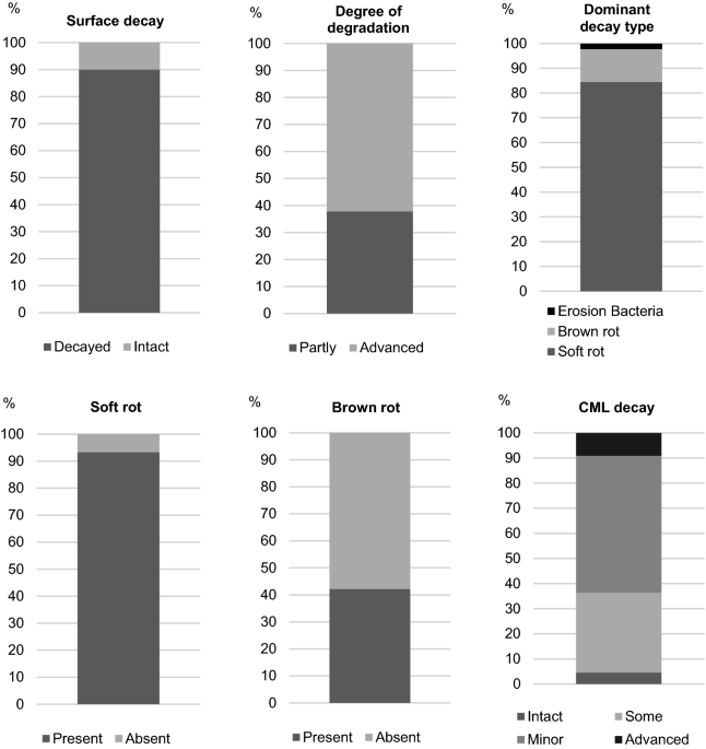 Physical and chemical properties of Coarse Woody Debris submitted to the  natural process of decomposition in a Secondary Atlantic Forest Fragment in  Brazil