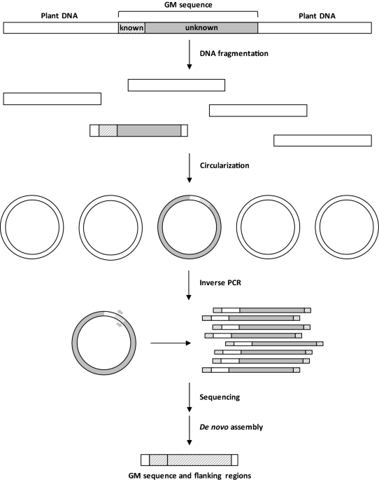 targeted minion sequencing of