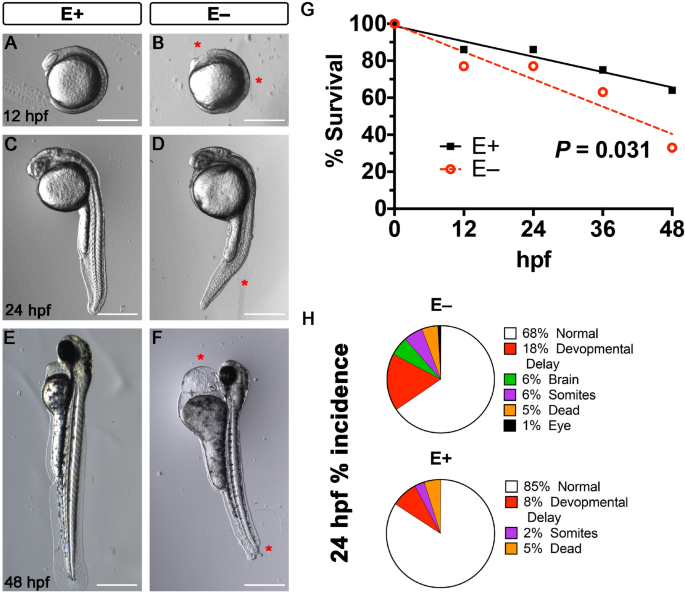 Vitamin E Is Necessary For Zebrafish Nervous System Development Scientific Reports