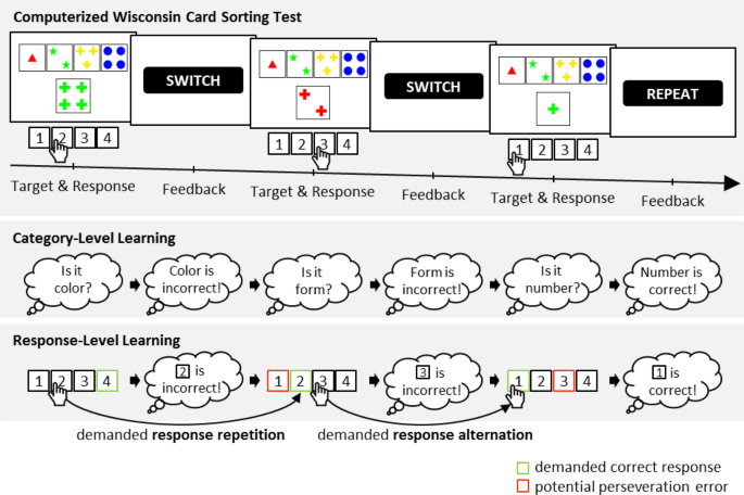 Parallel Model Based And Model Free Reinforcement Learning For Card Sorting Performance Scientific Reports