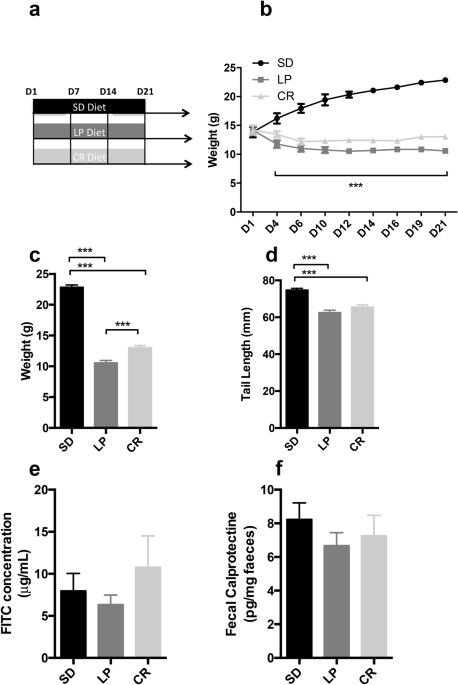 Modeling Undernutrition With Enteropathy In Mice Scientific Reports