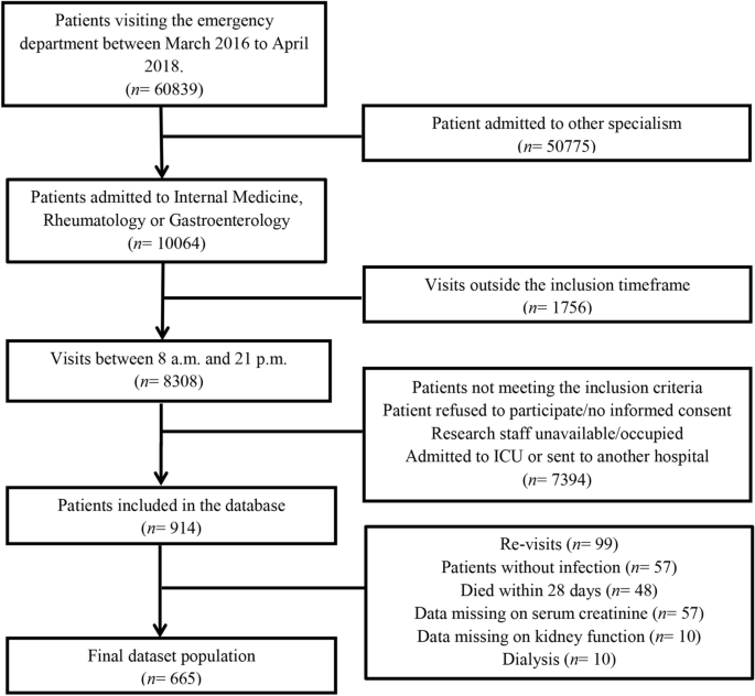 A high urea-to-creatinine ratio predicts long-term mortality independent of  acute kidney injury among patients hospitalized with an infection |  Scientific Reports