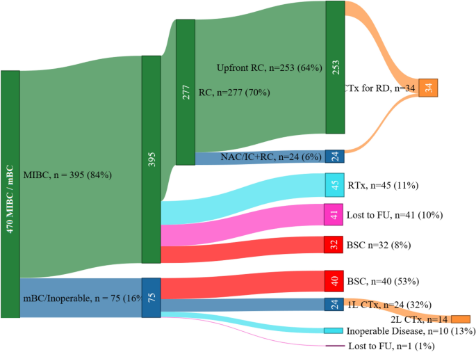 Treatment patterns and clinical outcomes of chemotherapy treatment in  patients with muscle-invasive or metastatic bladder cancer in the  Netherlands | Scientific Reports