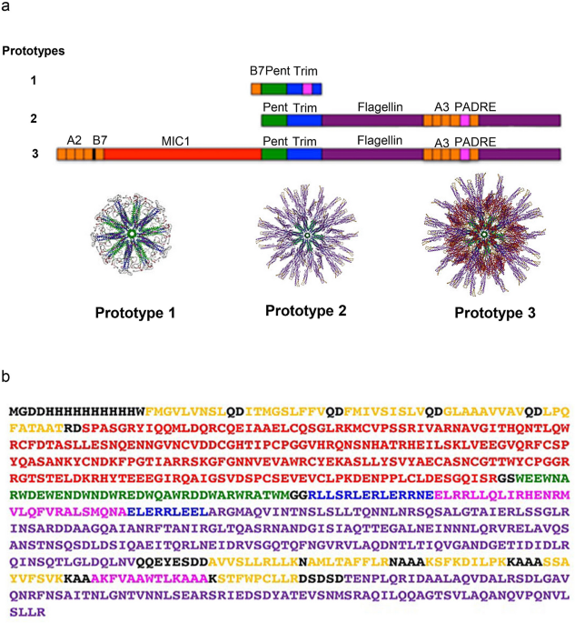 Rationally Designed Self-Assembling Nanovaccines Elicit Robust