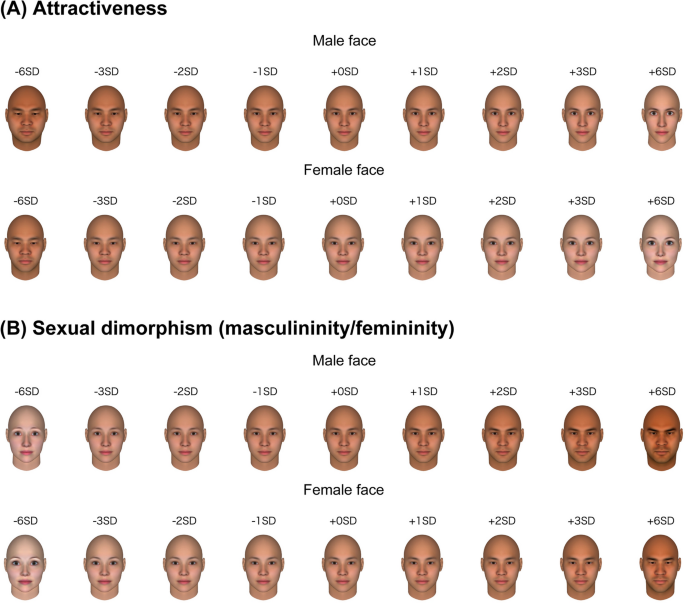 A New Data Driven Mathematical Model Dissociates Attractiveness From Sexual Dimorphism Of Human Faces Scientific Reports