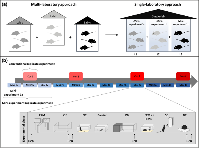Improving reproducibility in animal research by splitting the study  population into several 'mini-experiments' | Scientific Reports
