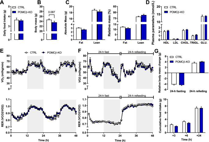 Pgc 1b Expressing Pomc Neurons Mediate The Effect Of Leptin On Thermoregulation In The Mouse Scientific Reports
