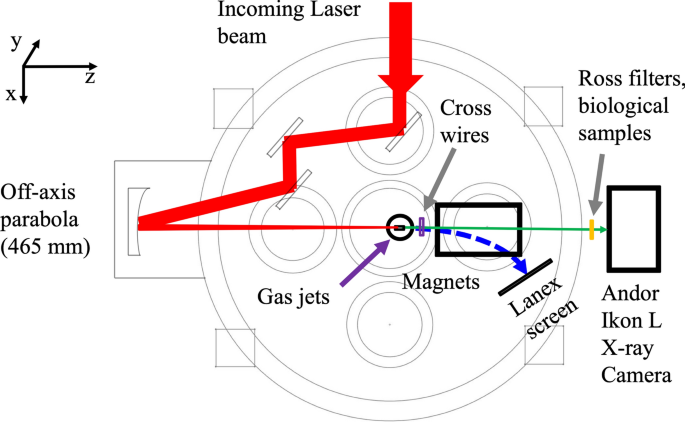 Time evolution of a radial wire arrays composed of 16 tungsten wires