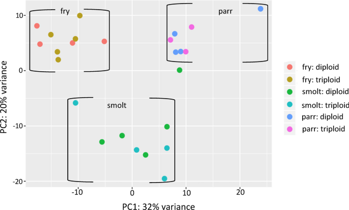 Transcriptome Sequencing And Histology Reveal Dosage Compensation In The Liver Of Triploid Pre Smolt Atlantic Salmon Scientific Reports Transcriptome Sequencing And Histology Reveal Dosage Compensation In The Liver Of Triploid Pre Smolt Atlantic Salmon Scientific Reports