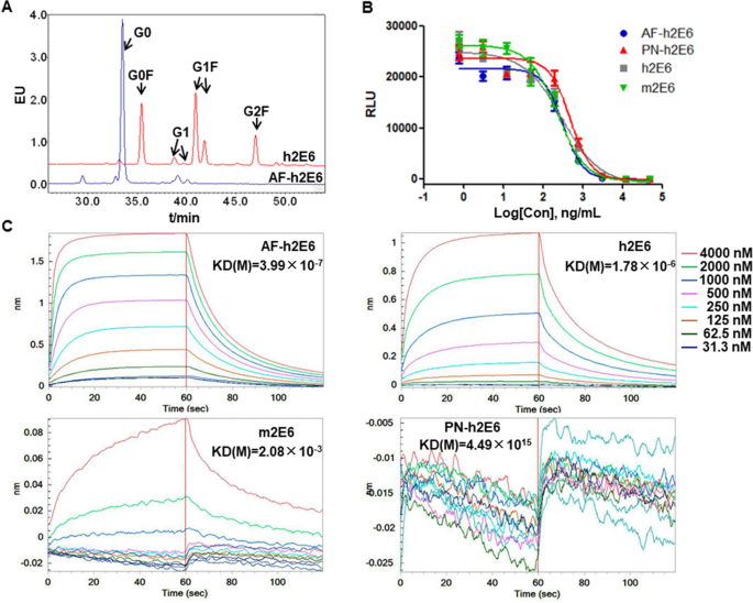 Development Of An Antibody Dependent Cellular Cytotoxicity Reporter Assay For Measuring Anti Middle East Respiratory Syndrome Antibody Bioactivity Scientific Reports
