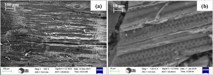 Comparison of acid exfoliators in carbon nanosheets synthesis from stinging nettle (Urtica dioica) for electrochemical applications