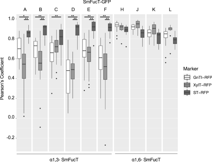 Functional Characterization Of Schistosoma Mansoni Fucosyltransferases In Nicotiana Benthamiana Plants Scientific Reports