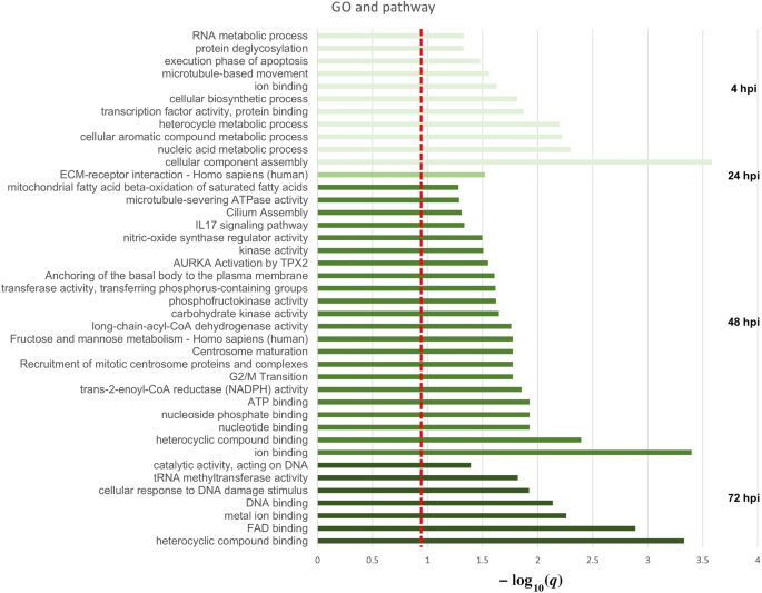 The role played by alternative splicing in antigenic variability in human  endo-parasites, Parasites & Vectors