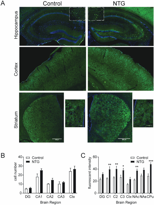 Forebrain delta opioid receptors regulate the response of delta agonist in  models of migraine and opioid-induced hyperalgesia | Scientific Reports