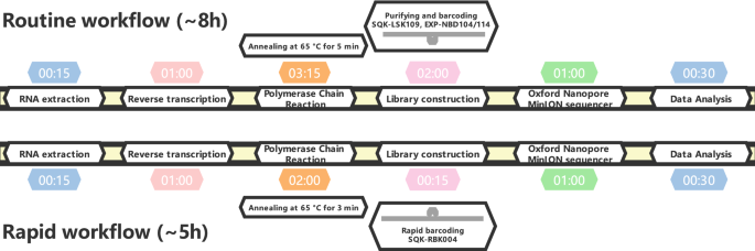 Rapid Genomic Characterization Of Sars Cov 2 Viruses From Clinical Specimens Using Nanopore Sequencing Scientific Reports