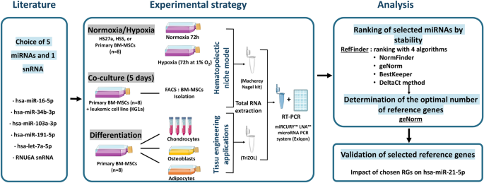 In situ hybridization analysis of mRNAs for Egam1c and the Prl gene