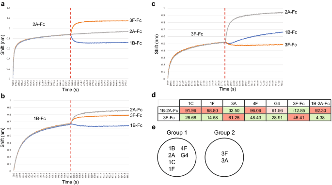 Development Of Humanized Tri Specific Nanobodies With Potent Neutralization For Sars Cov 2 Scientific Reports