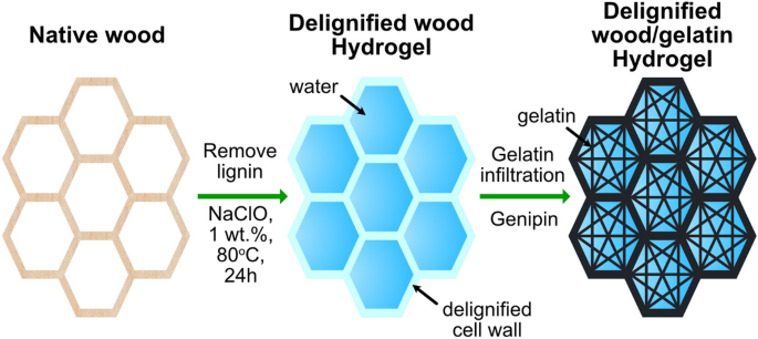 High strength and low swelling composite hydrogels from gelatin and delignified wood