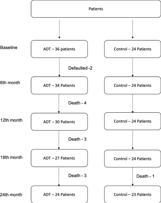 Effect of androgen deprivation therapy on cardiovascular function in chinese patients with advanced prostate cancer: a prospective cohort study