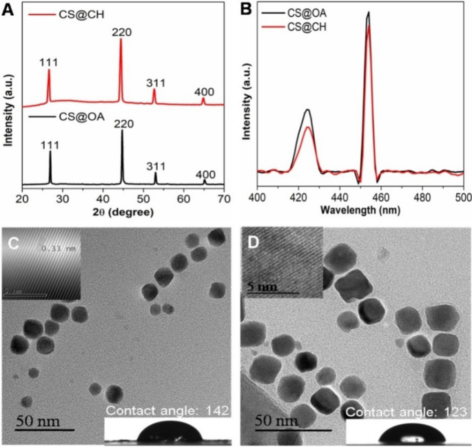 A Non Classical Route Of Efficient Plant Uptake Verified With Fluorescent Nanoparticles And Root Adhesion Forces Investigated Using Afm Scientific Reports