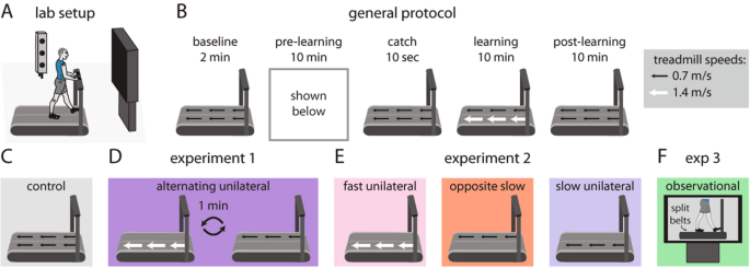 Unilateral step training can drive faster learning of novel gait 