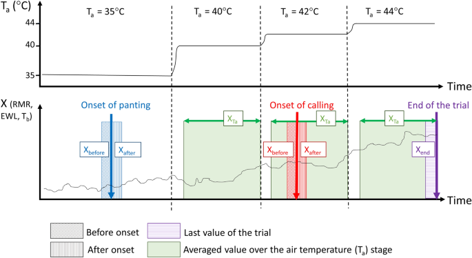 Vocal Panting A Novel Thermoregulatory Mechanism For Enhancing Heat Tolerance In A Desert Adapted Bird Scientific Reports Vocal Panting A Novel Thermoregulatory Mechanism For Enhancing Heat Tolerance In A Desert Adapted Bird Scientific Reports