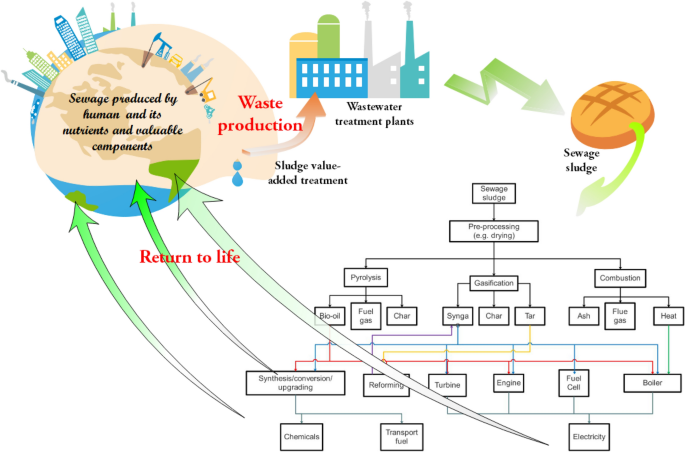 Catalytic Liquefaction Of Sewage Sludge To Small Molecular Weight Chemicals Scientific Reports