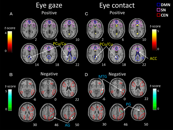 Gaze and Eye Contact Research, PDF