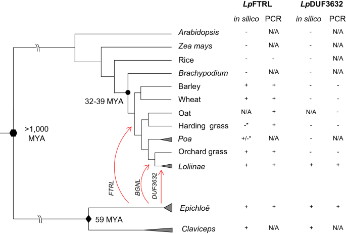 Product Support Staples Templates 19883