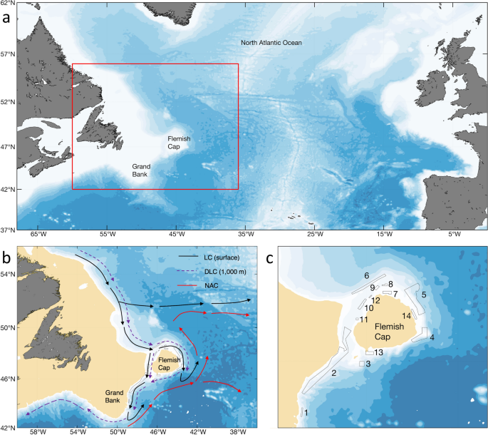 3-D ocean particle tracking modeling reveals extensive vertical movement  and downstream interdependence of closed areas in the northwest Atlantic |  Scientific Reports