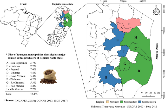 Robusta harvest advances in the main producer regions of Brazil