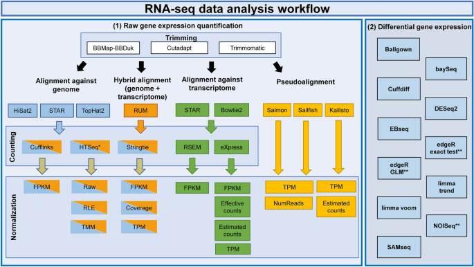 Systematic comparison and assessment of RNA-seq procedures for gene  expression quantitative analysis | Scientific Reports