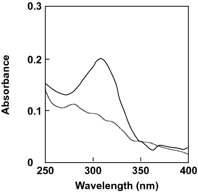 Identification of levoglucosan degradation pathways in bacteria and sequence similarity network analysis
