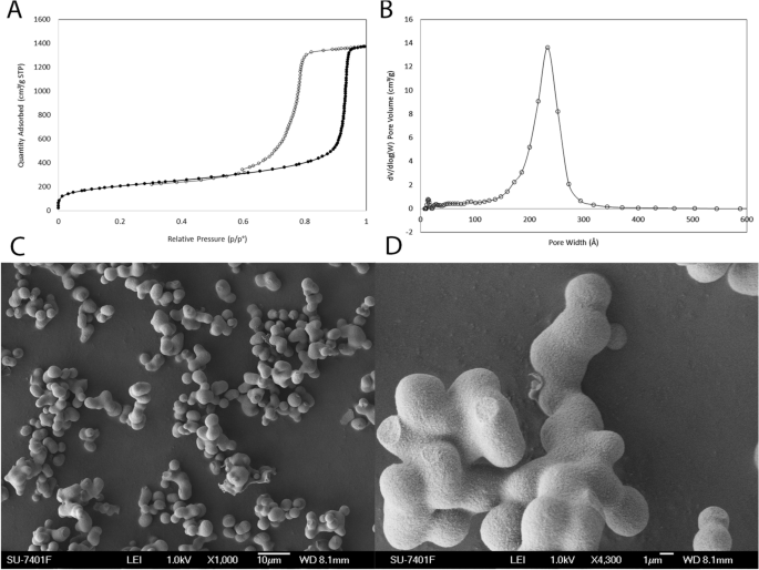 Empty Mesoporous Silica Particles Significantly Delay Disease Progression And Extend Survival In A Mouse Model Of Als Scientific Reports