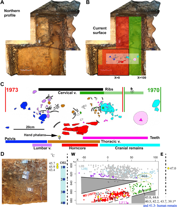 Pluridisciplinary evidence for burial for the La Ferrassie 8 Neandertal  child | Scientific Reports