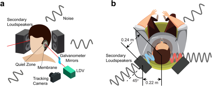 Ultra-broadband local active noise control with remote acoustic sensing |  Scientific Reports