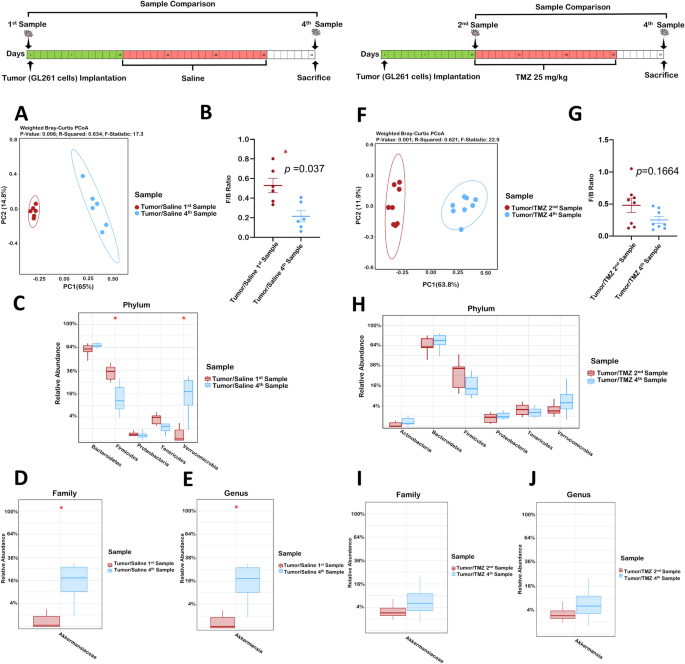 Glioma And Temozolomide Induced Alterations In Gut Microbiome Scientific Reports