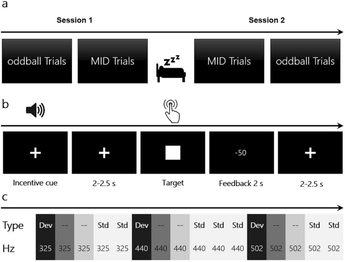 Cortical Plasticity Elicited By Acoustically Cued Monetary Losses An Erp Study Scientific Reports Cortical Plasticity Elicited By Acoustically Cued Monetary Losses An Erp Study Scientific Reports